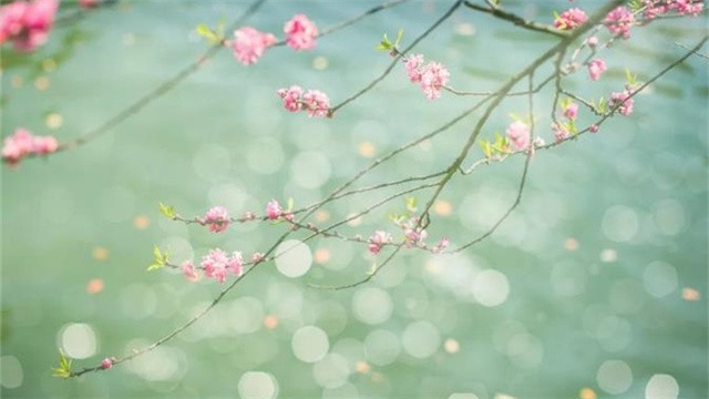 饮食培训学校：花粉易过敏，食补巧防范